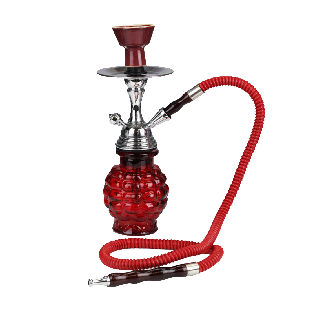 Badshah  Grape Hookah  10″ 1-Hose