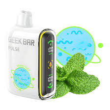 Geek Bar Miami Mint 15000 Puffs