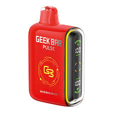 Geek Bar Watermelon Ice 15000 Puffs