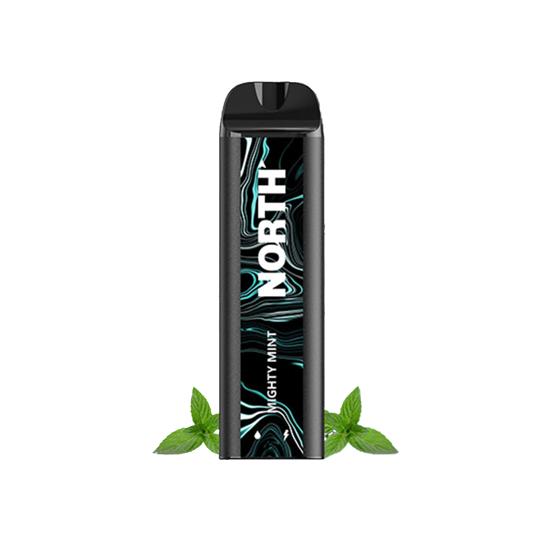North 5000 Zero Nicotine Disposable Vape – 5,000 Puffs, 10mL, USB-C Rechargeable (10CT/Box)